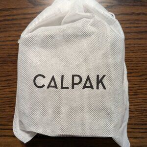 Calpak tiny clear cosmetics case in Emerald